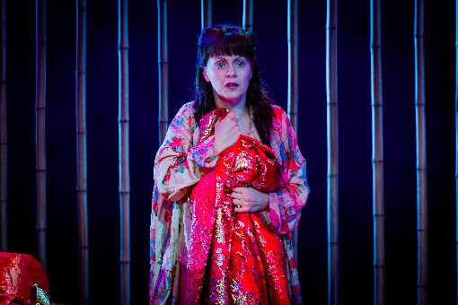 Iris in a red kimono