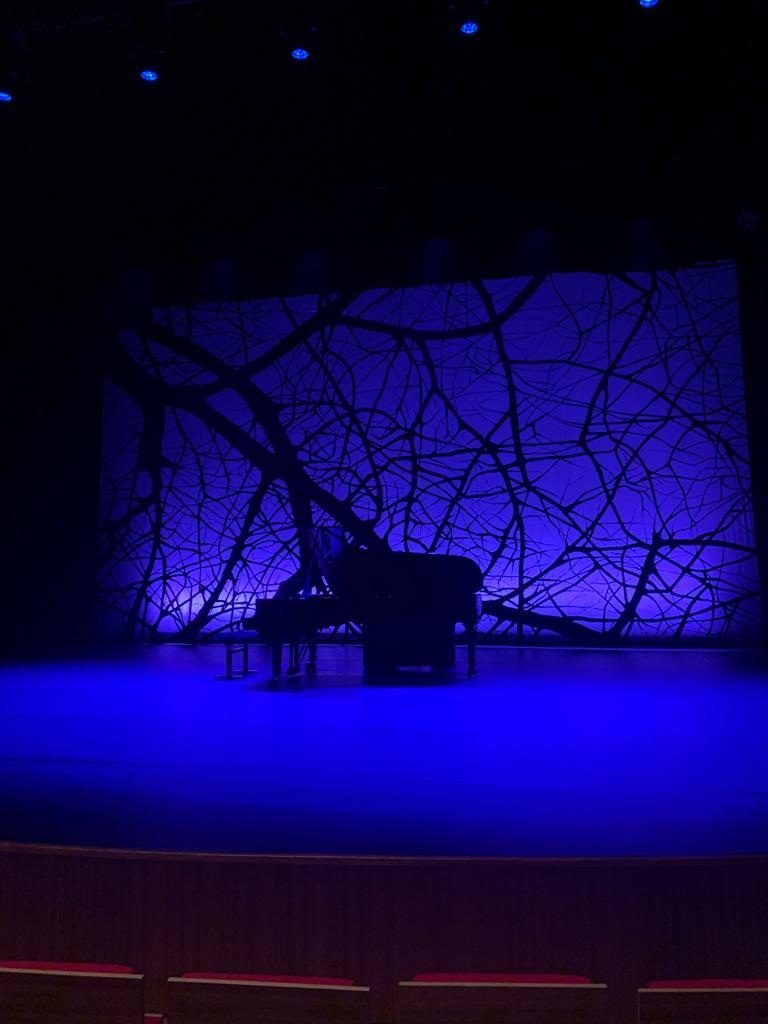 The stage in blue light, piano and branches